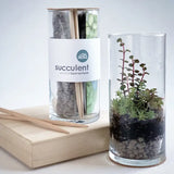 Vertical Succulent Terrarium Kit - New
